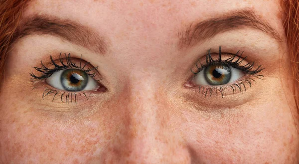 Grande astúcia olhos brilhantes verdes olhando para a câmera — Fotografia de Stock