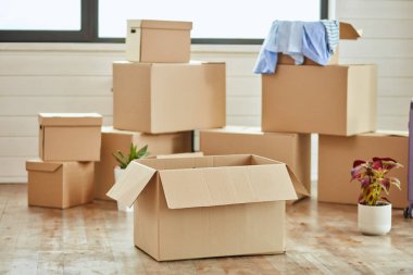 Hareketli gün modern oturma odasında kişisel eşyalarını ev eşyaları ile Karton kutular
