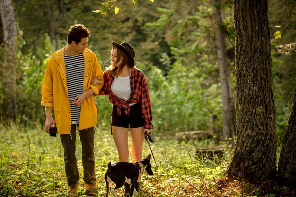 Young people with dog walking in autumn forest — Stok fotoğraf