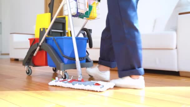 Young woman with cleaning equipment at home — Stock Video