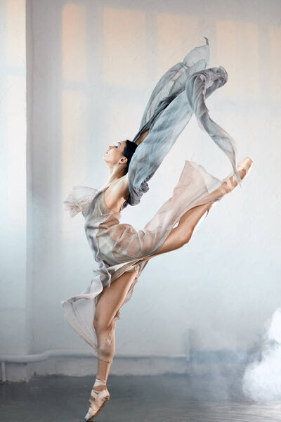 Perfect harmony fascinating our minds and eyes, ballet dancer in a jump. Ballerina is wearing in blue grey dress and pointe shoes. Smoke effect