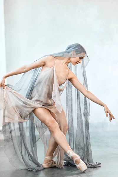 Graziosa ballerina di balletto in tuta scenica grigia che si esibisce su punte su studio grigio — Foto Stock