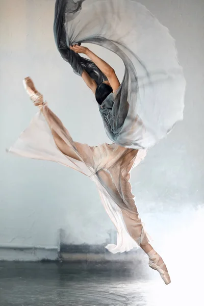Perfecta armonía fascinante nuestras mentes y ojos, bailarina de ballet en un salto — Foto de Stock