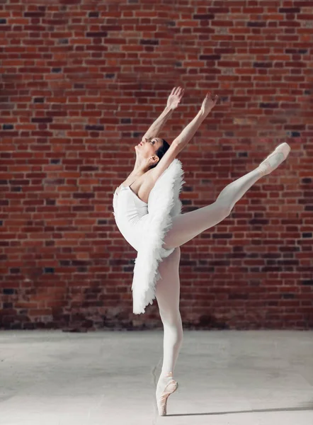 Menina harmoniosa dançando no estúdio de balé — Fotografia de Stock
