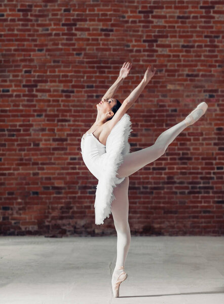 harmonious girl dancing in the ballet studio