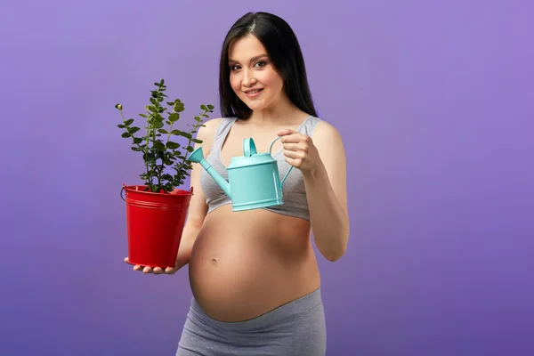 Drăguță femeie gravidă zâmbitoare în lenjerie de corp turnând apă în ghiveci floare — Fotografie, imagine de stoc