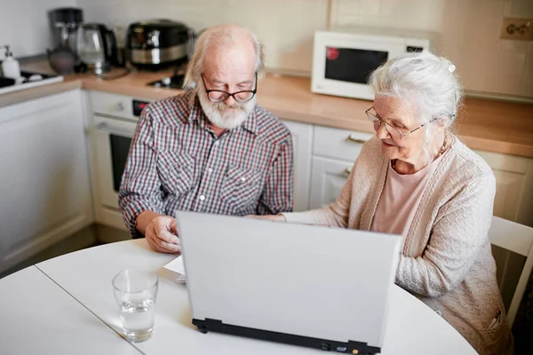 Sorrindo casal maduro com documentos e laptop no interior da casa — Fotografia de Stock