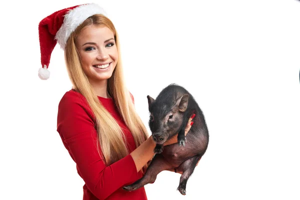 Junge Frau mit Nikolausmütze und schwarzem Minischwein in der Hand gegen weiße Wand. — Stockfoto
