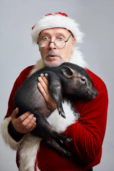 Starší Santa Claus drží malé černé prasátko. Čínský symbol nového roku 2019 — Stock fotografie