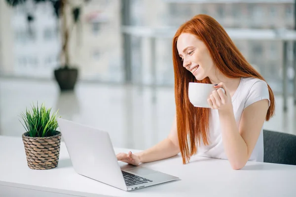Selamat tersenyum wanita berambut merah bekerja dengan laptop dan minum kopi — Stok Foto