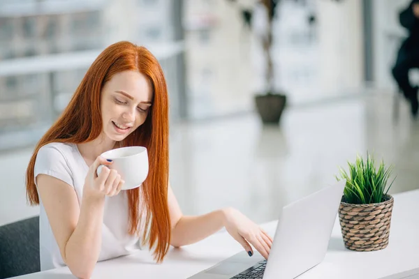 Wanita berambut merah hipster cantik menggunakan laptop di kantor — Stok Foto