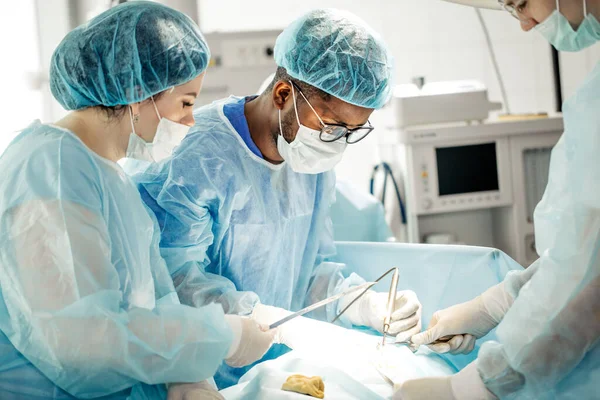 Profesionales médicos que realizan cirugías para tratar trastornos del sistema nervioso — Foto de Stock