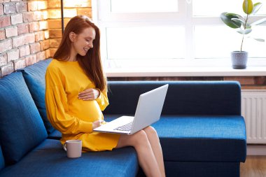 Güzel görünümlü hamile bir kadın web kamerasında konuşuyor.