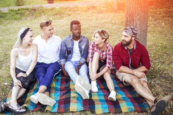 Diverse groep vrolijke vrienden zittend op gras bij zonsondergang in natuurpark. — Stockfoto