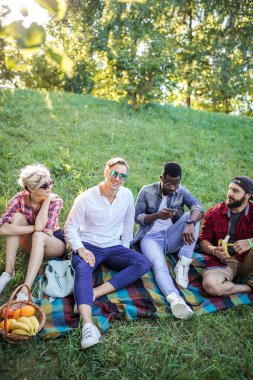 Doğa parkında gün batımında çimlerin üzerinde oturan çeşitli neşeli arkadaşlar..