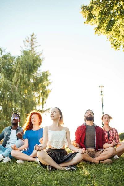 Gruppo di amici adulti mix-razza meditare mentre pratica yoga all'aperto nel parco. — Foto Stock