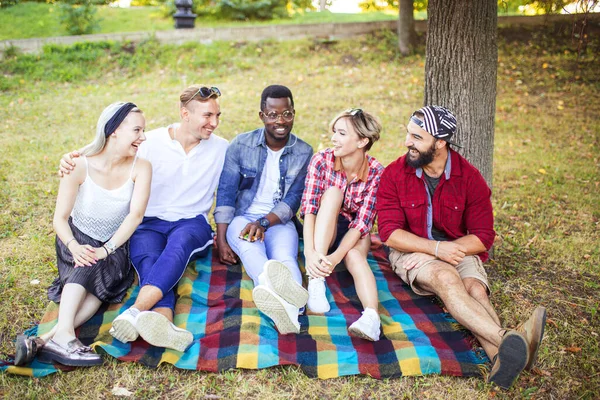 Diverse groep vrolijke vrienden zittend op gras bij zonsondergang in natuurpark. — Stockfoto