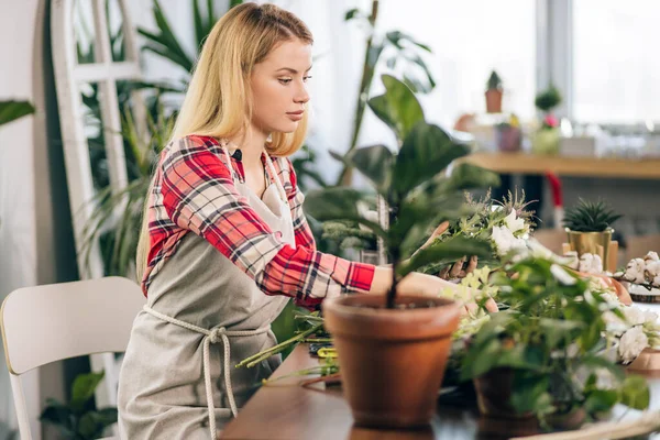 Dam florist i sin egen blomsteraffär som tar hand om blommor — Stockfoto