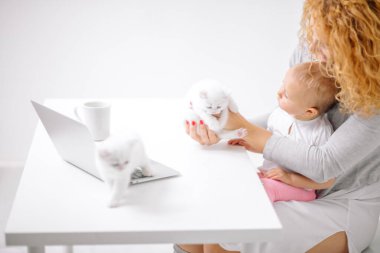 Genç ve çekici bir kadın beyaz kedi yavrusuna bakmayı öğretiyor.