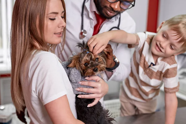 Donna amichevole e bambino sono venuti dal veterinario con un cane — Foto Stock