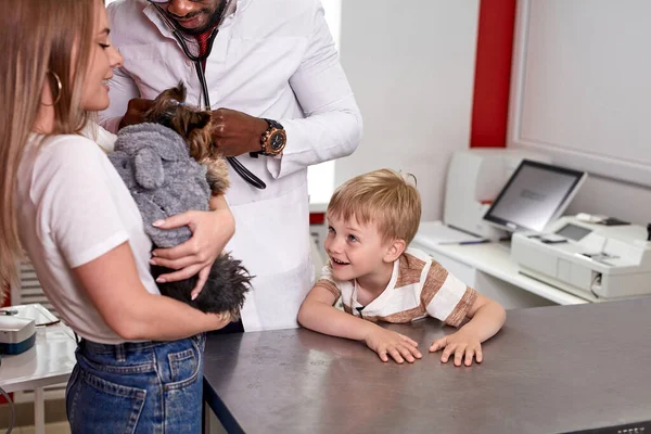 Hayvan kliniğinde veteriner köpeği muayene ediyor. — Stok fotoğraf