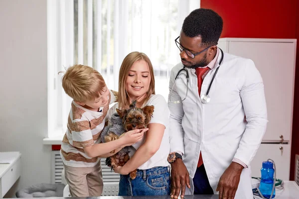 Familia con perro vino a veterinario para el examen anual —  Fotos de Stock