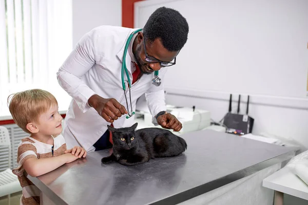 Красивий лікар ветеринар вивчає милий кіт, поки його власник стоїть поруч — стокове фото