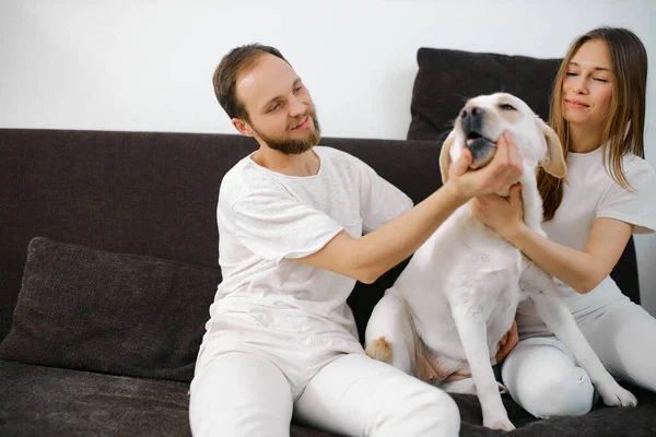 家で犬と結婚した白人夫婦は — ストック写真