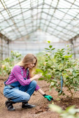 Bahçıvan yer işleriyle uğraşıyor.
