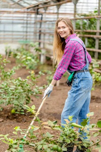 Mujer rubia feliz usando el rastrillo en el granero — Foto de Stock