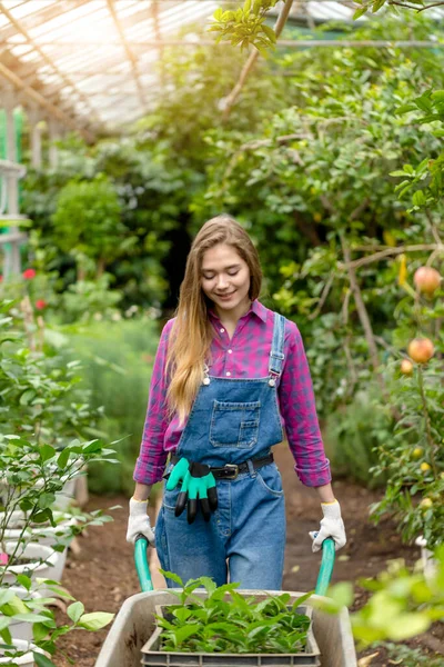 Muito loiro jardineiro andando com carrinho de jardim no trabalho — Fotografia de Stock