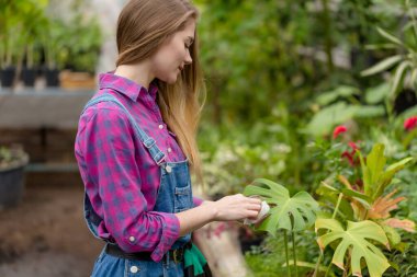 Hoş sarışın bahçıvan çiçekleri silmeye odaklanmış.