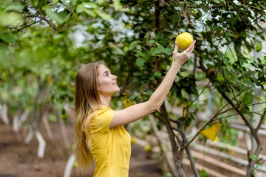 Genç ve güzel bahçıvan hasat toplamaktan hoşlanıyor.