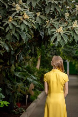 Arka plan fotoğrafını kapat. Yeşil egzotik bahçedeki kız