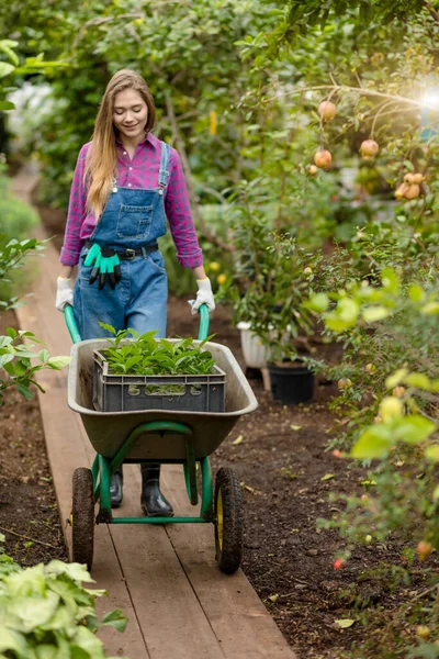 Alegre agradable chica usando un carro mientras trabaja en el jardín — Foto de Stock