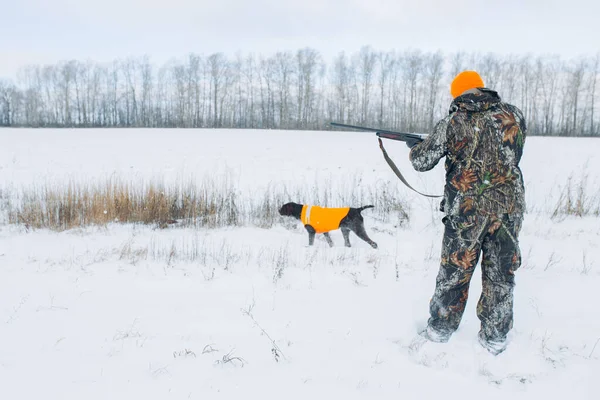Lindo perro está oliendo un animal durante la caza — Foto de Stock