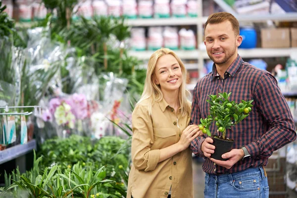 portrait of positive couple with green flower in pot