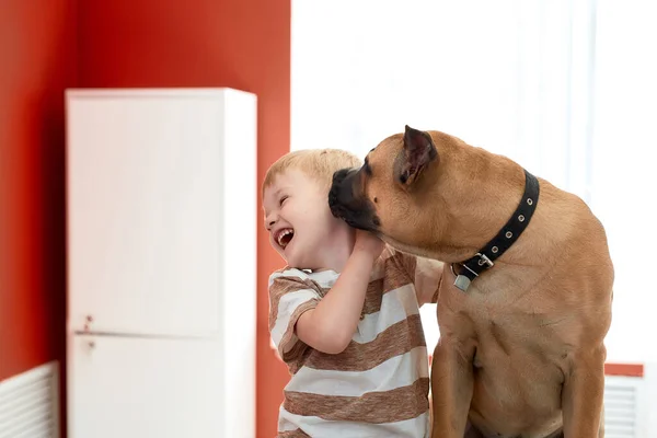Glad pojke med hund på veterinärkliniken — Stockfoto