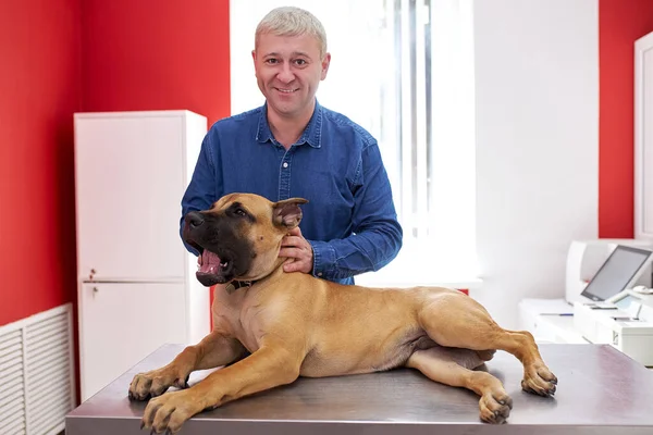 Дорослий чоловік зі своїм домашнім собакою у ветеринарній клініці — стокове фото