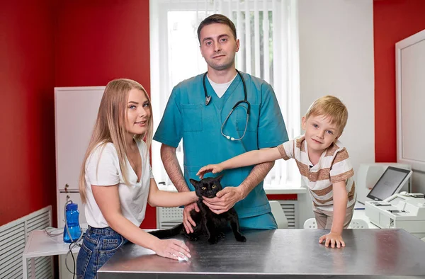 Чарівний кіт сидить у ветеринарній лікарні з лікарем і власниками, дивлячись на камеру — стокове фото