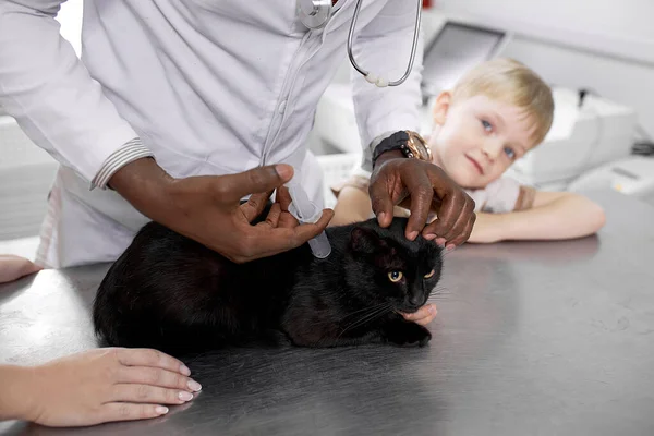 믿을 만 한 수컷 수의사가 새끼 고양이를 검사하고 있다 — 스톡 사진