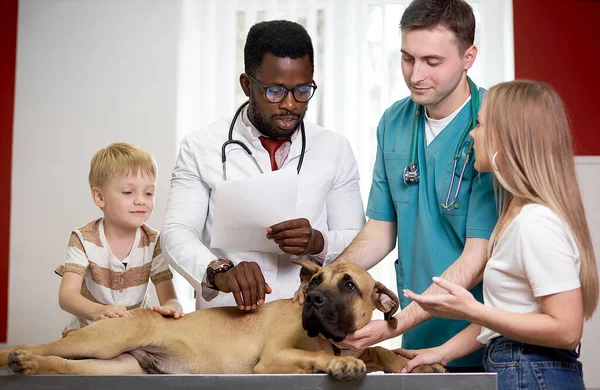 Famiglia con cane è venuto a veterinario per l'esame annuale — Foto Stock
