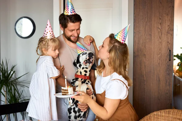 Neşeli pozitif sahipleri köpeklerin doğum gününü kutluyor