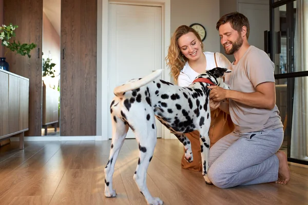 Casal acariciando, divirta-se com cão animal de estimação em casa — Fotografia de Stock