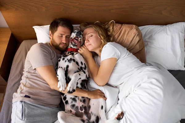 Όμορφο παντρεμένο ζευγάρι κοιμάται με το σκυλί στο κρεβάτι — Φωτογραφία Αρχείου