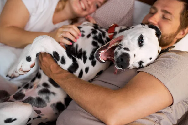 Όμορφη οικογένεια περνούν τα Σαββατοκύριακα με το σκυλί σε ζεστό περιβάλλον στο σπίτι — Φωτογραφία Αρχείου