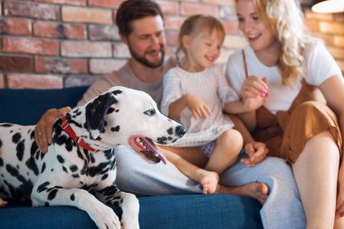 Evde köpekle eğlenen beyaz bir ailenin portresi.