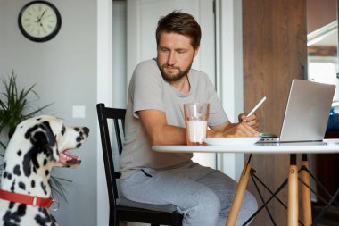 Güzel evcil hayvan, dizüstü bilgisayarında çalışan sahibinden yemek ister.