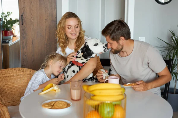 Todas as manhãs de família caucasiana feliz, na cozinha — Fotografia de Stock