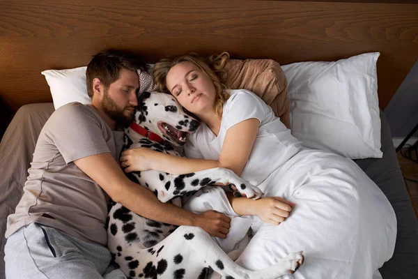 아름다운 부부는 개와 함께 침대에서 잠을 잔다 — 스톡 사진